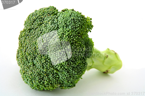 Image of Fresh broccoli over white