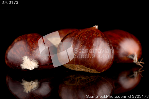 Image of Chestnuts on a black reflective background