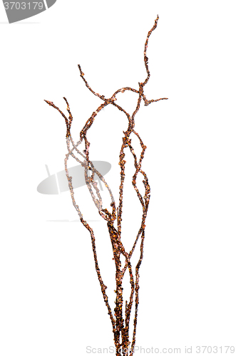 Image of Golden Christmas decoration branches