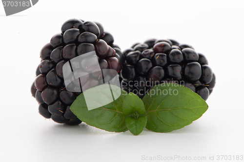 Image of Blackberries with leaves
