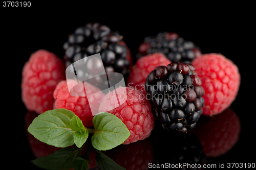 Image of Blackberry and raspberry