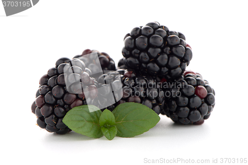 Image of Blackberries with leaves