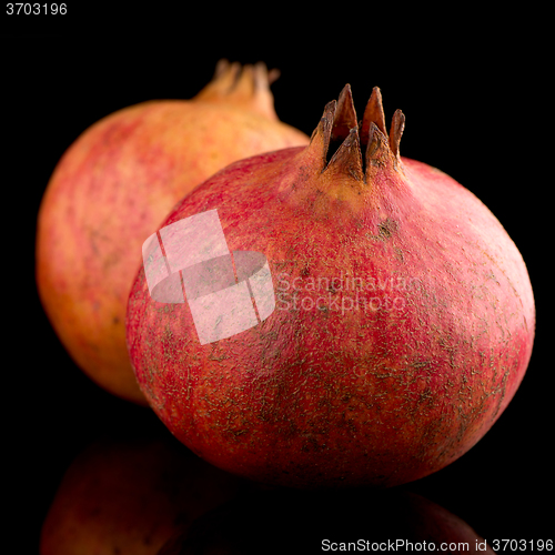 Image of Ripe pomegranate fruit