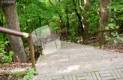 Image of close up of stair at summer forest or park