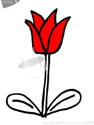 Image of red flower
