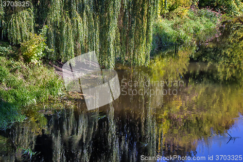 Image of Landscape: small river and the trees on the Bank.