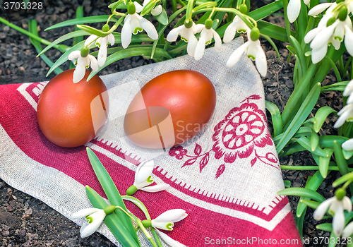 Image of Two Easter eggs and snowdrops.