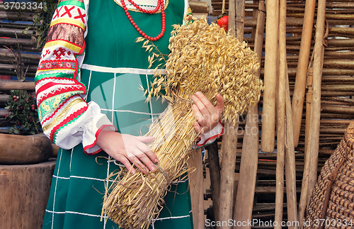 Image of A sheaf of ears in the hands of women.