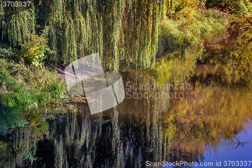 Image of Landscape: small river and the trees on the Bank.