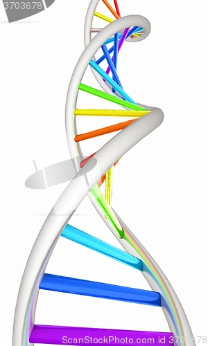 Image of DNA structure model on white