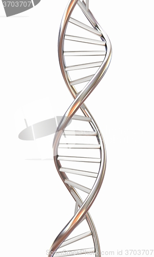 Image of DNA structure model on white