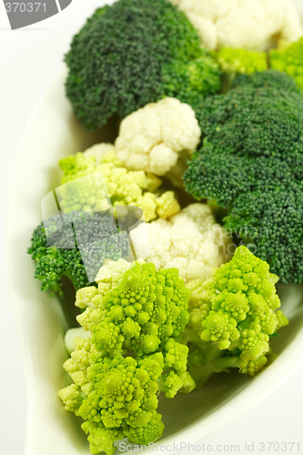 Image of Green vegetable