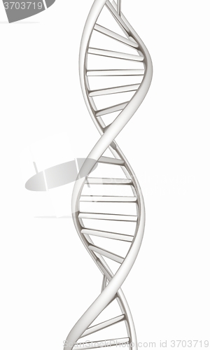 Image of DNA structure model on white