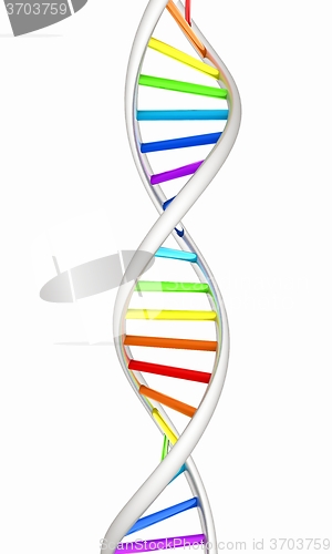 Image of DNA structure model on white