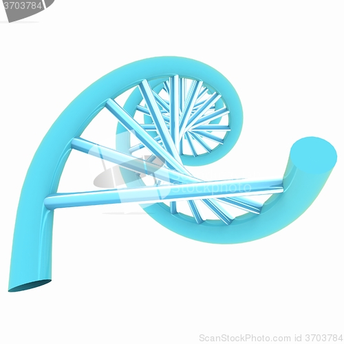 Image of DNA structure model on white