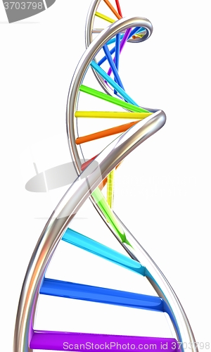 Image of DNA structure model on white