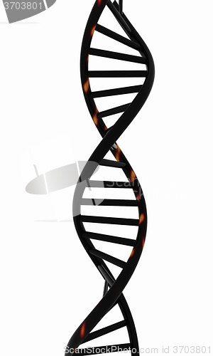 Image of DNA structure model on white