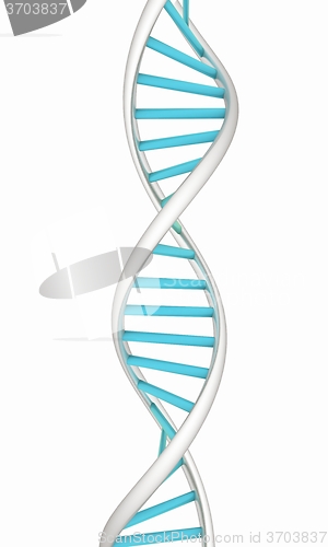 Image of DNA structure model on white