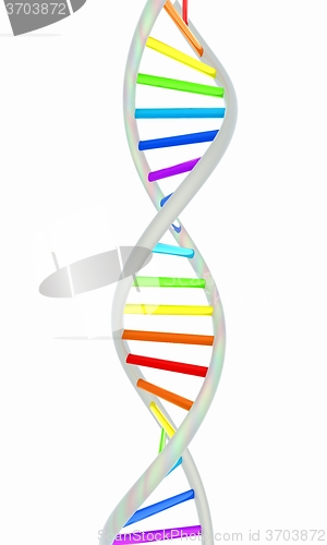 Image of DNA structure model on white