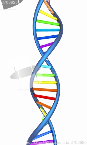 Image of DNA structure model on white