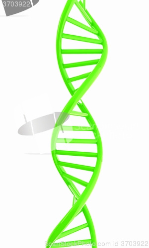 Image of DNA structure model on white