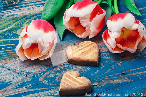 Image of Three cut tulips