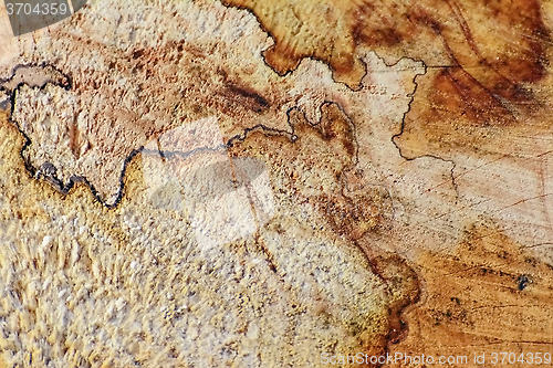 Image of Wooden Background
