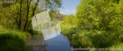 Image of tural Lesna river in summer midday