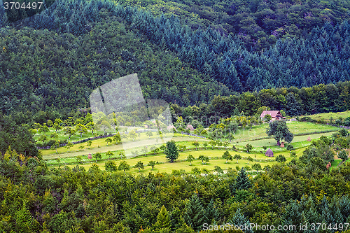 Image of Farmland 