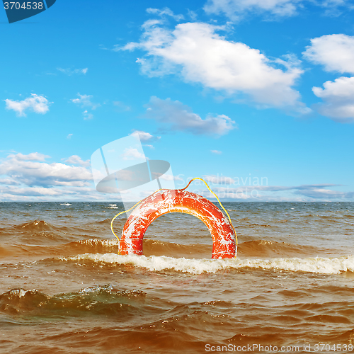 Image of Lifebuoy Ring