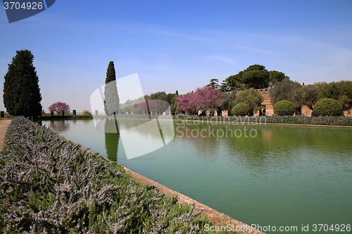 Image of Ancient ruins of Villa Adriana ( The Hadrian\'s Villa ), Pecile, 