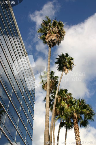 Image of Hotel and palm trees