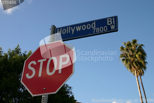 Image of Hollywood