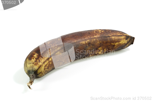 Image of Brown Banana