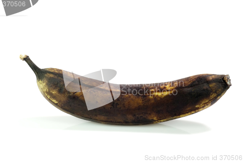 Image of Dead Banana