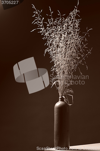 Image of vase with straw grass in Sepia