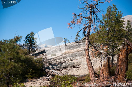 Image of Hiking panaramic train in Yosemite