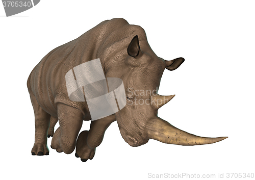 Image of Wild  Rhinoceros on White