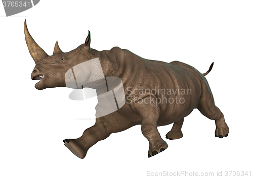 Image of Wild  Rhinoceros on White