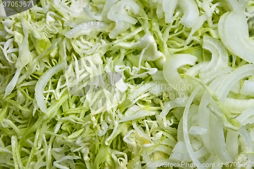 Image of Chopped cabbage and onions