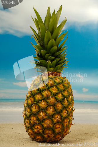Image of Pineapple on an exotic beach with blue and cloudy sky