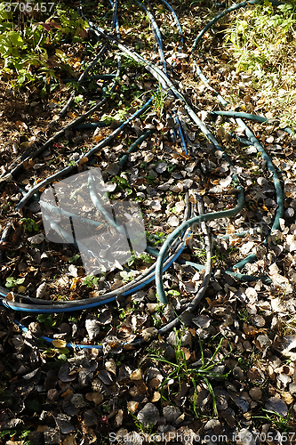 Image of garden hose on the ground