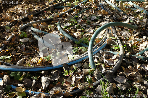 Image of garden hose in autumn 