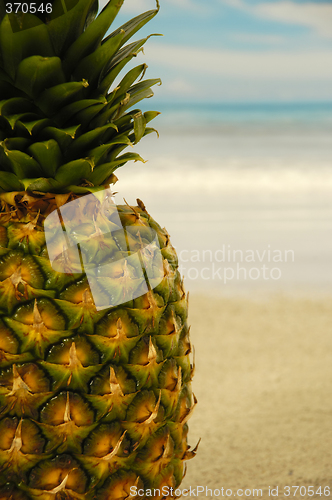 Image of Pineapple on an exotic beach with blue and cloudy sky