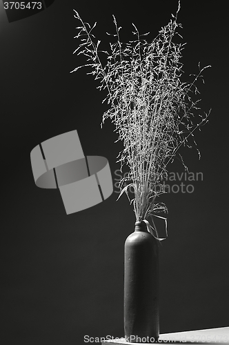 Image of vase with straw grass in black and white