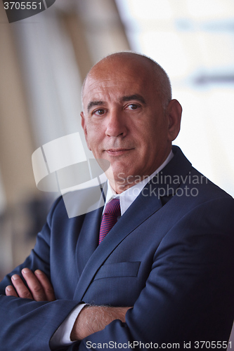 Image of senior business man portrait