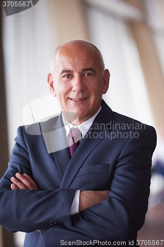 Image of senior business man portrait