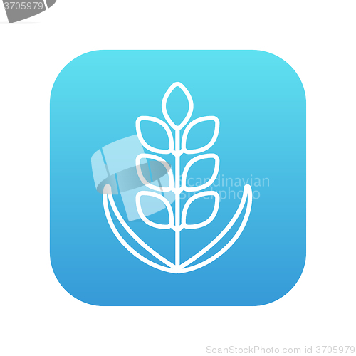 Image of Wheat line icon.