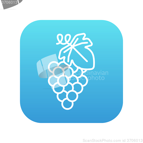 Image of Grape line icon.