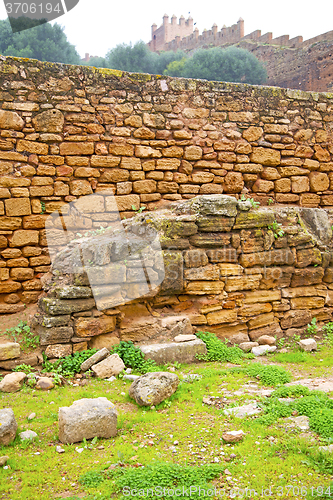 Image of chellah  in morocco      the   deteriorated monument and site